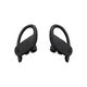Beats Powerbeats Pro Wireless schwarz