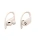 Beats Powerbeats Pro Wireless ivory