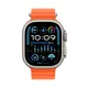 Apple Watch Ultra 2 Cellular Titanium 49mm (ocean orange)