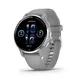 Garmin VENU 2 PLUS Hellgrau/Silber
