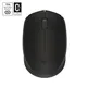 Logitech Wireless Mouse M171