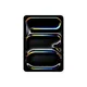 Apple iPad Pro 11" 2024 Wi-Fi 2 TB Silber MVVH3NF/A
