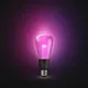 Philips Hue White & Col. Amb. Lightguide Giant Edison ST72 E27 500ml