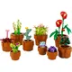 LEGO® Icons Mini Pflanzen (10329)