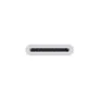 Apple Lightning auf SD-Kartenleser MJYT2ZM/A
