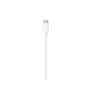 Apple USB-C auf Lightning Kabel 2,0m