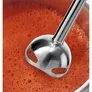 Bosch MS6CB6110 Stabmixer ErgoMixx Style 1000W schwarz/anthrazit