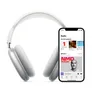 Apple AirPods Max Space Grau