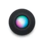 Apple HomePod mini spacegrau