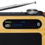 Lenco PDR-040 Bamboo Tragbares DAB+ FM-Radio mit BT, Schwarz