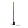 Philips Hue Gradient Signe Stehleuchte schwarz + Philips Hue Bridge V2