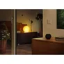 Eve Aqua - smarte Bewässerungssteuerung Apple HomeKit Thread