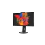Fujitsu P2410 TS CAM 61cm (24") FHD IPS Office Monitor 16:9 HDMI/DP Webcam HV