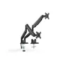 DIGITUS Universal Dual Monitor Klemm-Halterung 15-32" 2x 9 kg (max.) schwarz