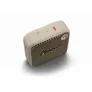Marshall WILLEN Bluetooth mobiler Lautsprecher Cream