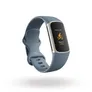 Fitbit Charge 5 Fitness-Tracker Blaugrau/Platin
