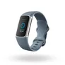 Fitbit Charge 5 Fitness-Tracker Blaugrau/Platin