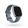 Fitbit Versa 4 Fitness-Smartwatch Blaugrau/Platin