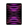 Apple iPad Pro 11" 2022 Wi-Fi 256 GB Space Grau MNXF3FD/A