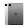 Apple iPad Pro 11" 2022 Wi-Fi + Cellular 128 GB Space Grau MNYC3FD/A
