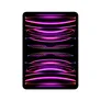 Apple iPad Pro 11" 2022 Wi-Fi + Cellular 256 GB Space Grau MNYE3FD/A