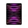 Apple iPad Pro 11" 2022 Wi-Fi + Cellular 2 TB Space Grau MNYL3FD/A