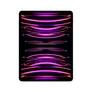 Apple iPad Pro 12,9" 2022 Wi-Fi 128 GB Space Grau MNXP3FD/A