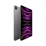 Apple iPad Pro 12,9" 2022 Wi-Fi 256 GB Space Grau MNXR3FD/A