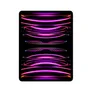 Apple iPad Pro 12,9" 2022 Wi-Fi 256 GB Space Grau MNXR3FD/A
