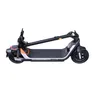 Ninebot KickScooter P65D by Segway mit Straßenzulassung
