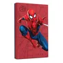 Seagate Firecuda 2 TB externe Festplatte 3,5 Zoll Spider-Man Special Edition