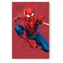 Seagate Firecuda 2 TB externe Festplatte 3,5 Zoll Spider-Man Special Edition