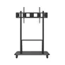 Celexon Adjust-55120MP Professional höhenverstellbarer Displayrollwagen