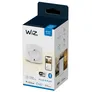 WiZ Smart Plug powermeter Type-F Steckdose weiß