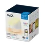 WiZ SQUIRE Portable Tischleuchte Tunable White & Color Einzelpack