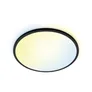 WiZ SuperSlim Deckenleuchte Tunable White 3800lm Schwarz Einzelpack