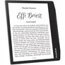 PocketBook Era Stardust Silver eReader mit 300 DPI 16GB