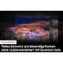 Samsung GQ55S95C 138cm 55" 4K QD-OLED 120 Hz Smart TV Fernseher