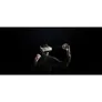 PICO Neo 3 Pro VR Headset 256GB Business Model
