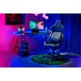 TEAM RAZER FLOOR RUG flexible/weiche Matte für deinen Gaming Chair