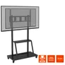 Celexon Adjust-55110MP Economy höhenverstellbarer Display Rollwagen