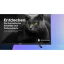 Hisense 32A5KQ 80cm 32" Full HD QLED Smart TV Fernseher