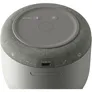 Sony LSPX-S3 - Kabelloser Bluetooth Glaslautsprecher grau