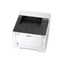 Kyocera ECOSYS P2040dn/Plus S/W-Laserdrucker mit 3 Jahren Full Service Vor-Ort