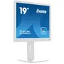 iiyama ProLite B1980D-W5 48cm (19") SXGA TN LED-Monitor DVI/VGA Pivot 60Hz 5ms