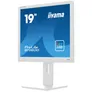 iiyama ProLite B1980D-W5 48cm (19") SXGA TN LED-Monitor DVI/VGA Pivot 60Hz 5ms
