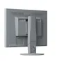 EIZO EV2430-GY 61cm (24") WUXGA IPS 16:10 Office-Monitor DP/DVI/VGA Pivot HV