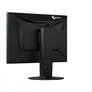 EIZO EV2460-BK 60,5cm (23,8") Full HD IPS Monitor DP/HDMI/DVI/VGA 5ms Pivot