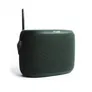 Pure Woodland wasserdichter Outdoor-Lautsprecher mit FM/DAB+ Radio, grün