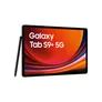 Samsung GALAXY Tab S9+ X816B 5G 256GB graphite Android 13.0 Tablet